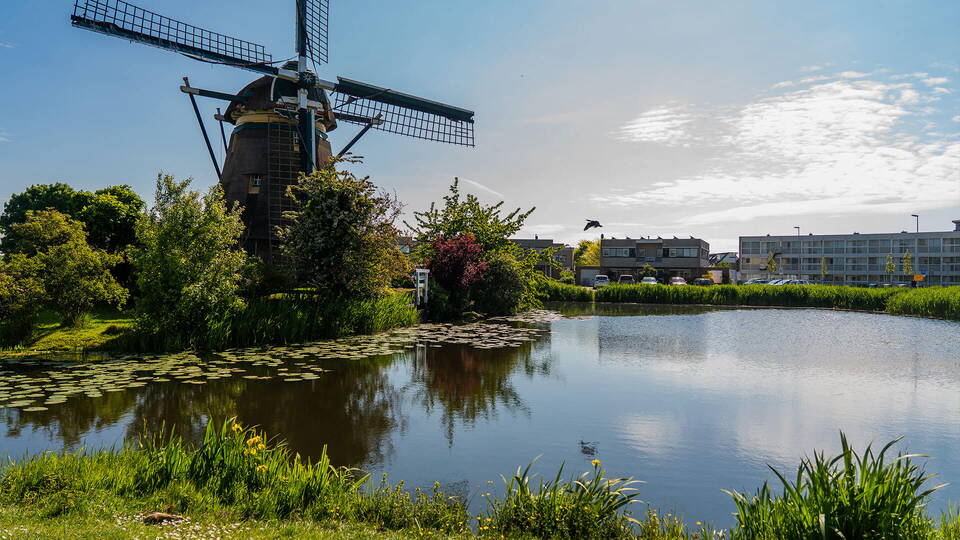 Huis kopen in Leiderdorp