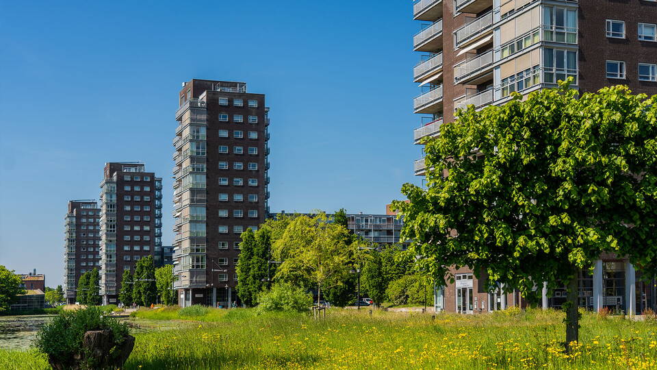 Huis verhuren in Leiderdorp